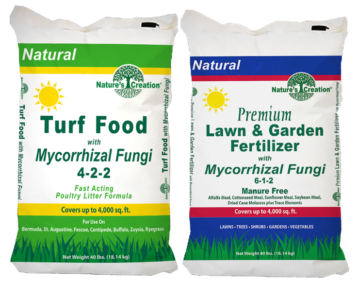 Plant Foods