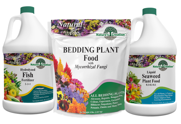 Plant Foods